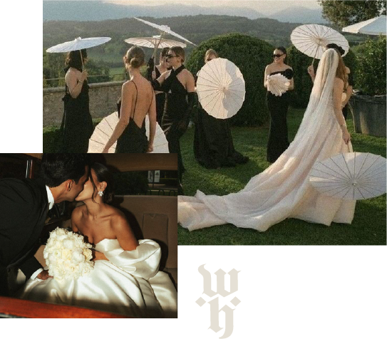 VISION https://wildhearts.fr/wp-content/uploads/2025/12/VISION.png